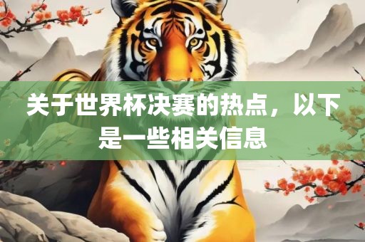 关于世界杯决赛的热点，以下是一些相关信息