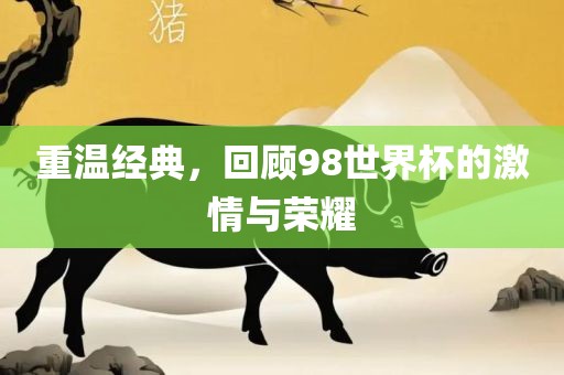 重温经典，回顾98世界杯的激情与荣耀