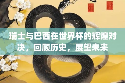 瑞士与巴西在世界杯的辉煌对决，回顾历史，展望未来