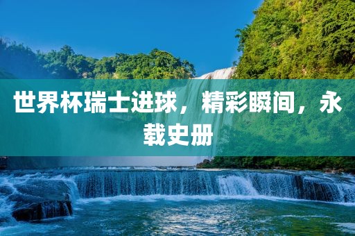 世界杯瑞士进球，精彩瞬间，永载史册