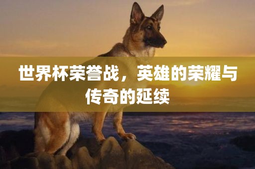 世界杯荣誉战，英雄的荣耀与传奇的延续