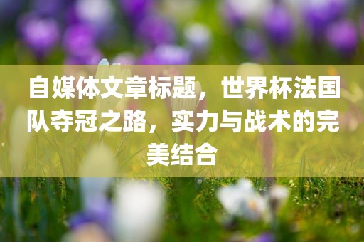 自媒体文章标题，世界杯法国队夺冠之路，实力与战术的完美结合