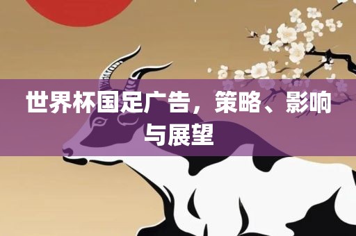 世界杯国足广告，策略、影响与展望