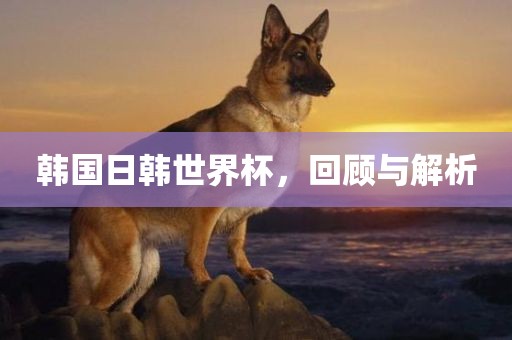 韩国日韩世界杯，回顾与解析