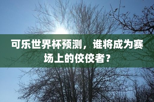 可乐世界杯预测，谁将成为赛场上的佼佼者？