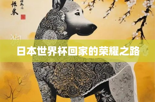 日本世界杯回家的荣耀之路