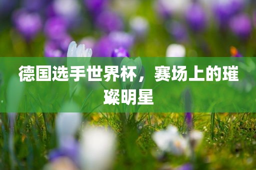 德国选手世界杯，赛场上的璀璨明星