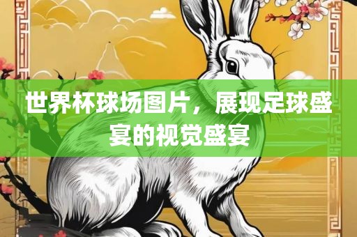 世界杯球场图片，展现足球盛宴的视觉盛宴