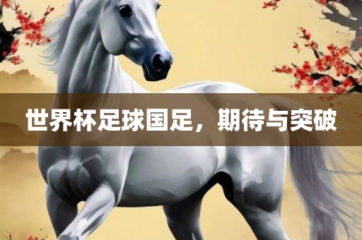 世界杯足球国足，期漯河市盈旭机械设备有限公司待与突破