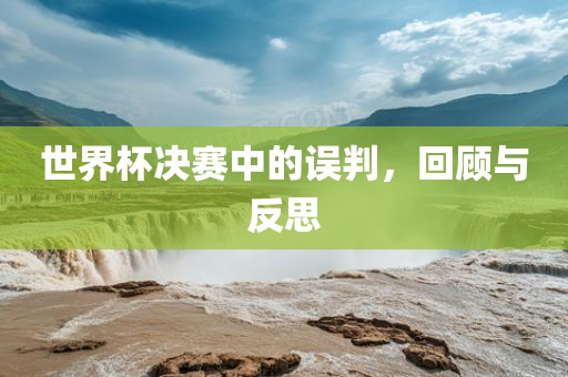世界杯决赛中的误判，回顾与反思