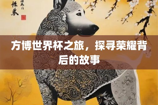 方博世界杯之旅，探寻荣耀背后的故事漯河市盈旭机械设备有限公司