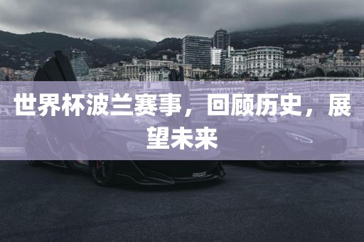 世界杯波兰赛事，回顾历史，展望未来