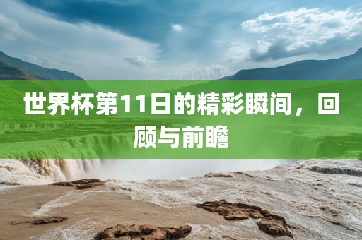 世界杯第11日的精彩瞬间，回顾与前瞻