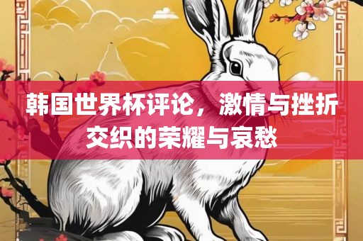 韩国世界杯评论，激情与挫折交织的荣耀与哀愁