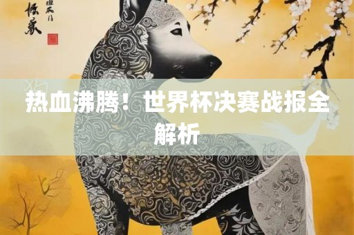 热血沸腾！世界杯决赛战报全解析
