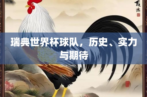 瑞典世界杯球队，历史、实力与期待