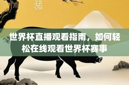 世界杯直播观看指南，如何轻松在线观看世界杯赛事漯河市盈旭机械设备有限公司