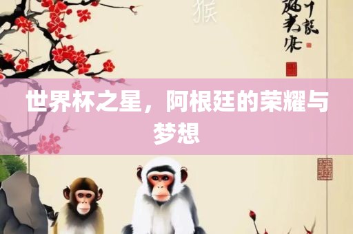 世界杯之星，阿根廷的荣耀与梦想