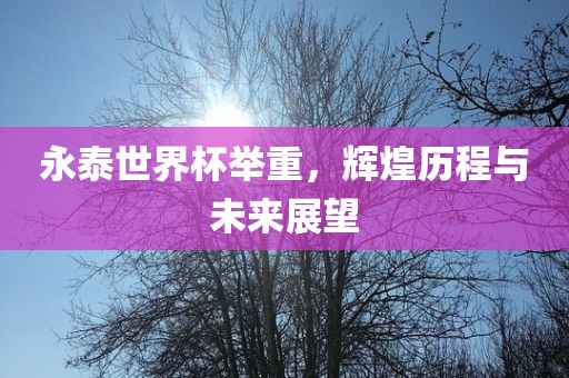 永泰世界杯举重，辉煌历程与未来漯河市盈旭机械设备有限公司展望