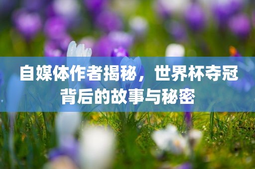 自媒体作者揭秘，世界杯夺冠背后的故事与秘密