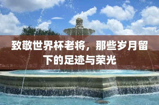 致敬世界杯老将，那些岁月留下的足迹与荣光漯河市盈旭机械设备有限公司