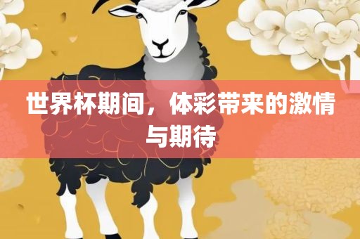 世界杯期间，体彩带来的激情与期待