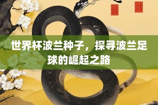世界杯波兰种子，探寻波兰足球的崛起之路