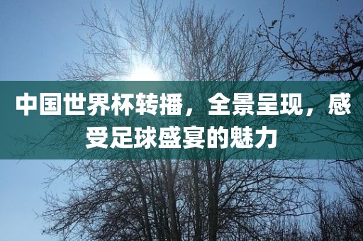 中国世界杯转播，全景呈现，感受足球盛宴的魅力