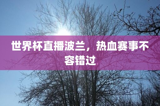 世界杯直播波兰，热血赛事不容错过漯河市盈旭机械设备有限公司