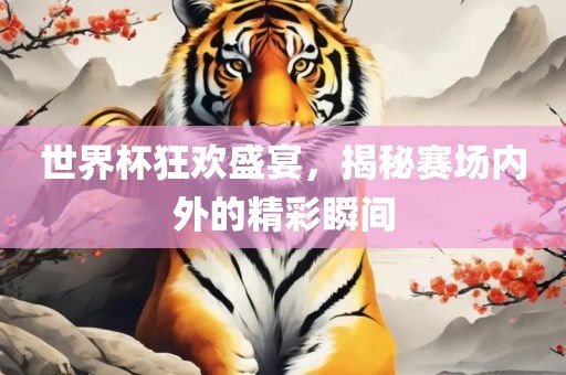 世界杯狂欢盛宴，揭秘赛场内外的精彩瞬间