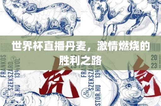 世界杯直播丹麦，激情燃烧的胜利之路