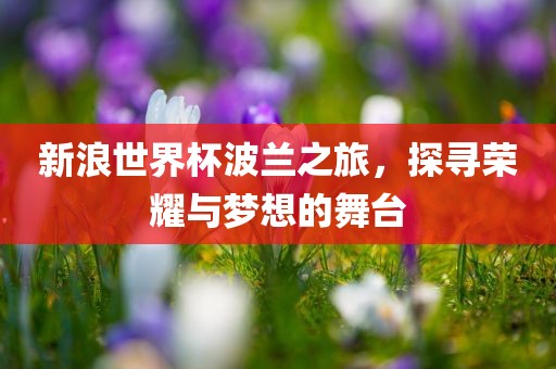 新浪世界杯波兰之旅，探寻荣耀与梦想的舞台