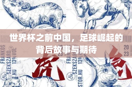 世界杯之前中国，足球崛起的背后故事与期待