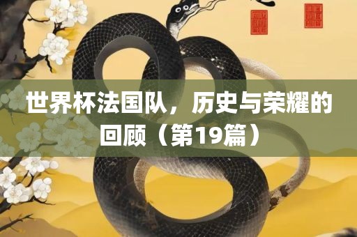 世界杯法国队，历史与荣耀的回顾（第19篇）漯河市盈旭机械设备有限公司