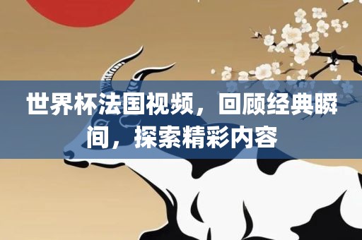世界杯法国视频，回顾经典瞬间，探索精彩内容