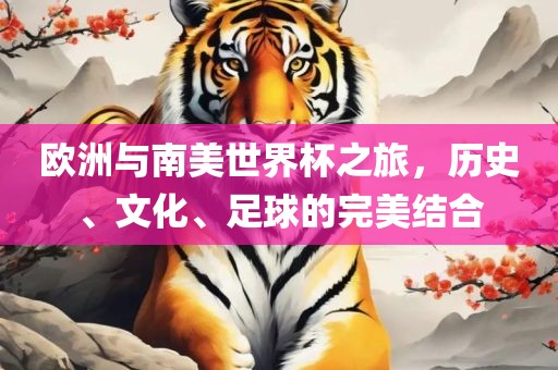 欧洲与南美世界杯之旅，历史、文化、足球的完美结合