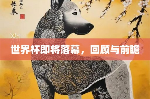 世界杯即将落幕，回顾与前瞻