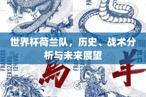 世界杯荷兰队，历史、战术分析与未来展望