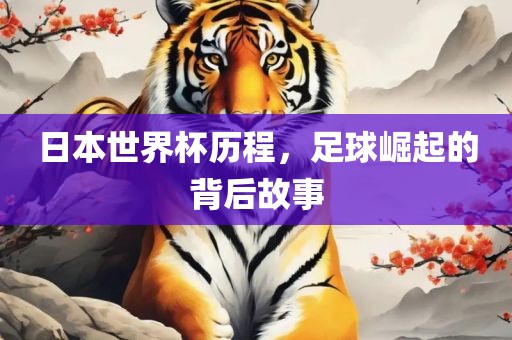 日本世界杯历程，足球崛起的背后故事