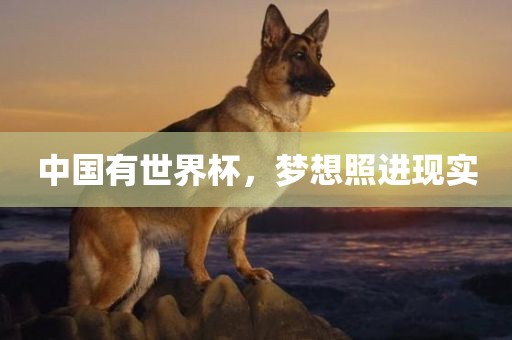 中国有世界杯，梦想照进现实