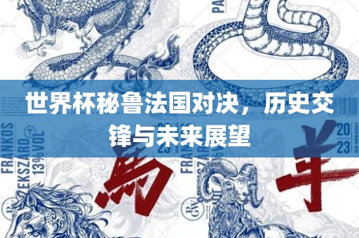 世界杯秘鲁法国对决，历史交锋与未来展望