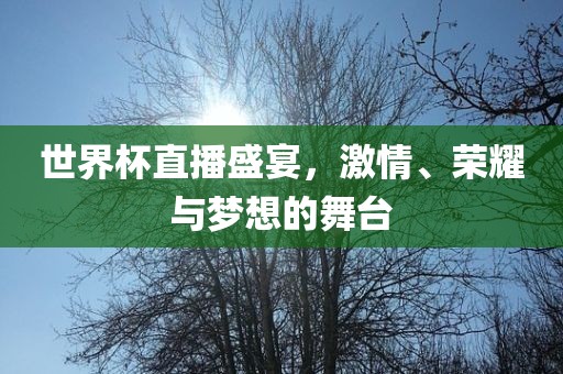 世界杯直播盛宴，激情、荣耀与梦想的舞台漯河市盈旭机械设备有限公司
