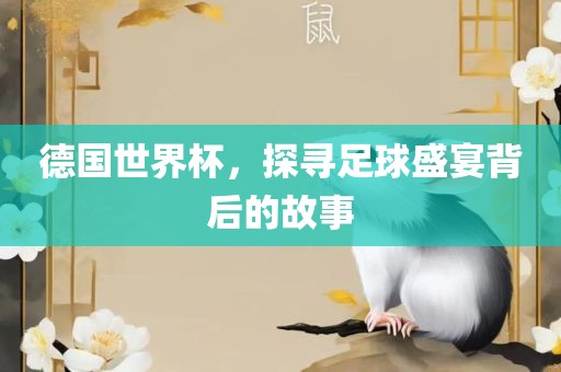 德国世界杯，探寻足球盛宴背后的故事