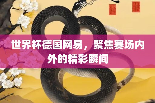 世界杯德国网易，聚焦赛场内外的精彩瞬间