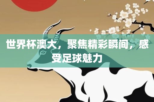 世界杯澳大，聚焦精彩瞬间，感受足球魅力