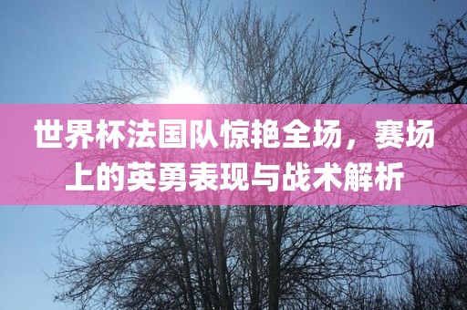 世界杯法国队惊艳全场，赛场上的英勇表现与战术解析
