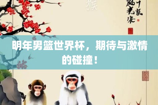 明年男篮世界杯，期待与激情的碰撞！