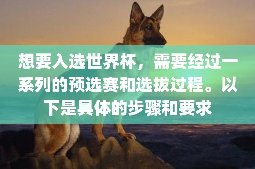 想要入选世界杯，需要经过一系列的预选赛和选拔过程。以下是具体的步骤和要求