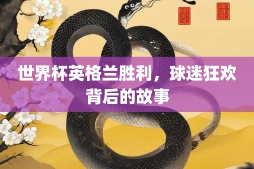 世界杯英格兰胜利，球迷狂欢背后的故事