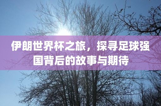 伊朗世界杯之旅，探寻足球强国背后的故事与期待
